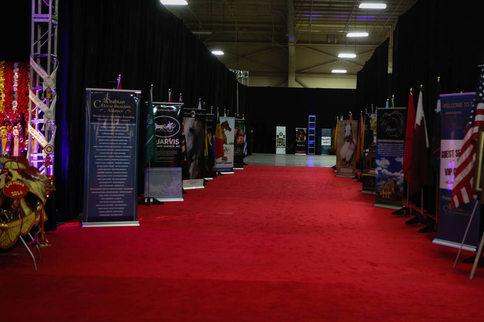 2014 Arabian Breeders World Cup