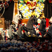 2014 Arabian Breeders World Cup