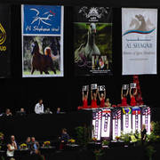 2014 Arabian Breeders World Cup