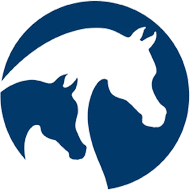 AHA Annual Convention