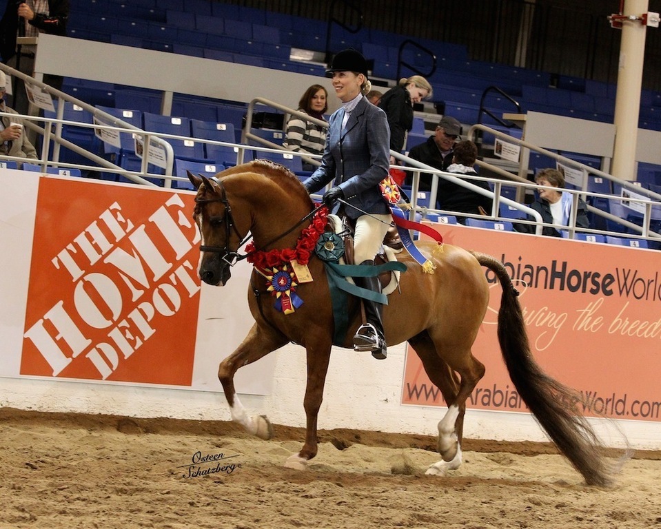 Caliente Creek Ranch