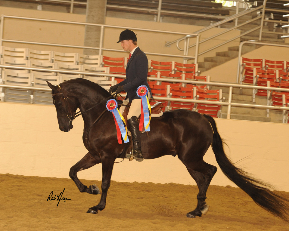 Caliente Creek Ranch