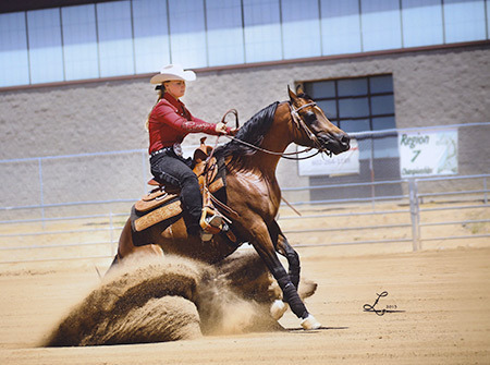 Culbreth Equine Training & Management