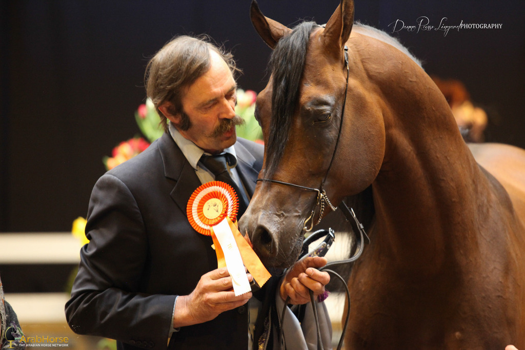 Tulip Cup Deurne 2014