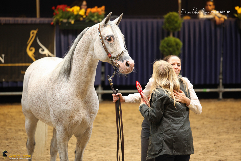 Tulip Cup Deurne 2014
