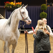 Tulip Cup Deurne 2014
