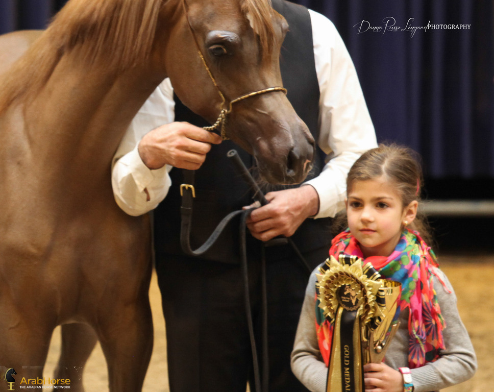 Tulip Cup Deurne 2014