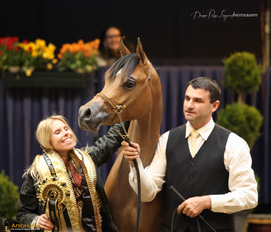 Tulip Cup Deurne 2014