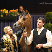 Tulip Cup Deurne 2014