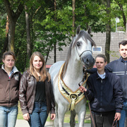 Tulip Cup Deurne 2014