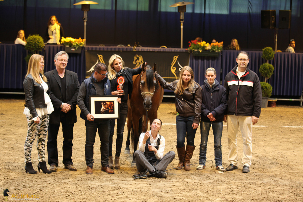 Tulip Cup Deurne 2014