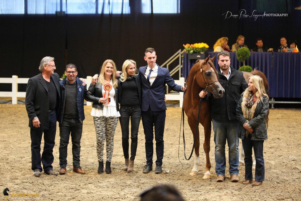 Tulip Cup Deurne 2014