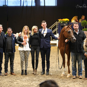 Tulip Cup Deurne 2014