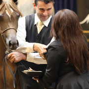 Tulip Cup Deurne 2014