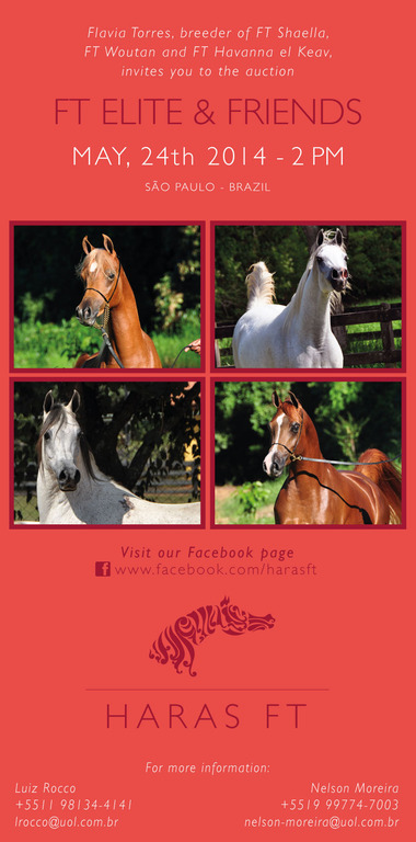 FT ELITE & FRIENDS - A NEW DATE HAS BEEN SET: MAY, 24