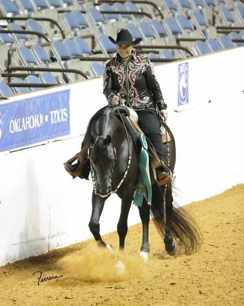 Long Meadow Arabians