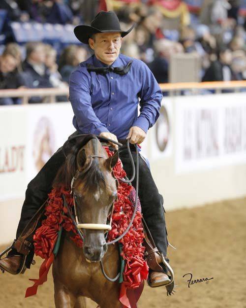 Long Meadow Arabians