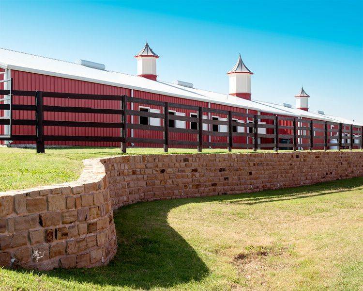 Long Meadow Arabians