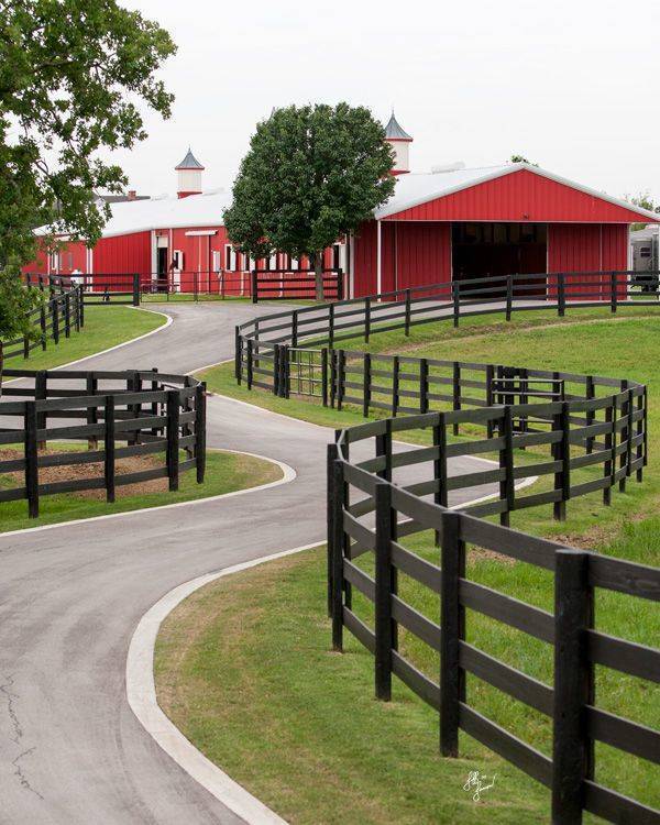 Long Meadow Arabians