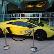 Menton Arabian Horse Championship 2014