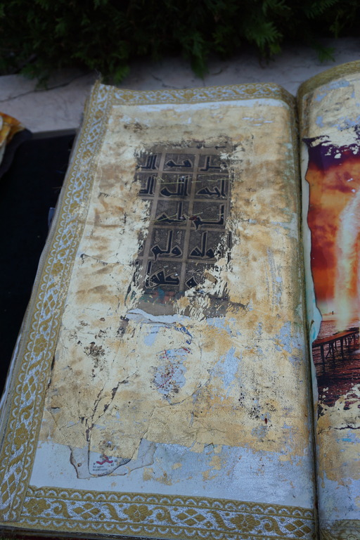 Menton Arabian Horse Championship 2014