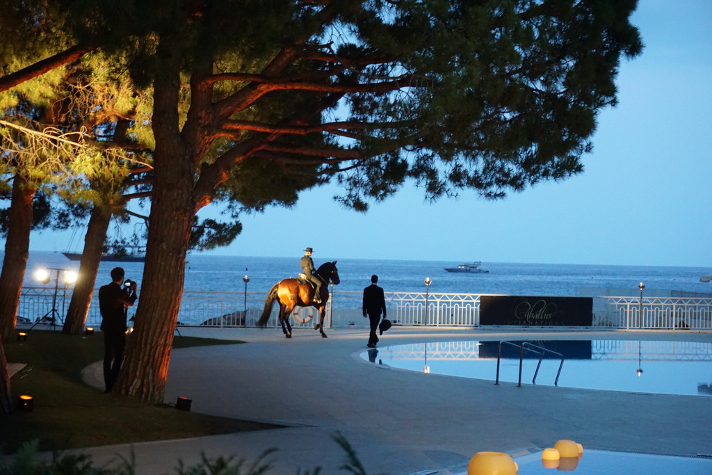 Menton Arabian Horse Championship 2014
