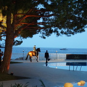 Menton Arabian Horse Championship 2014