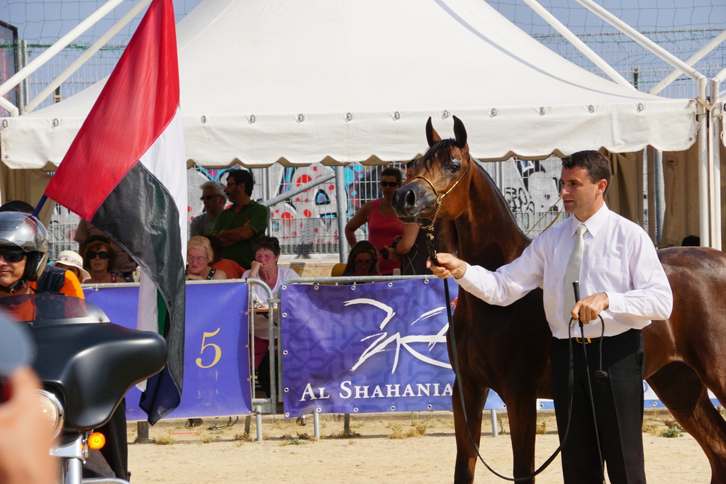 Menton Arabian Horse Championship 2014