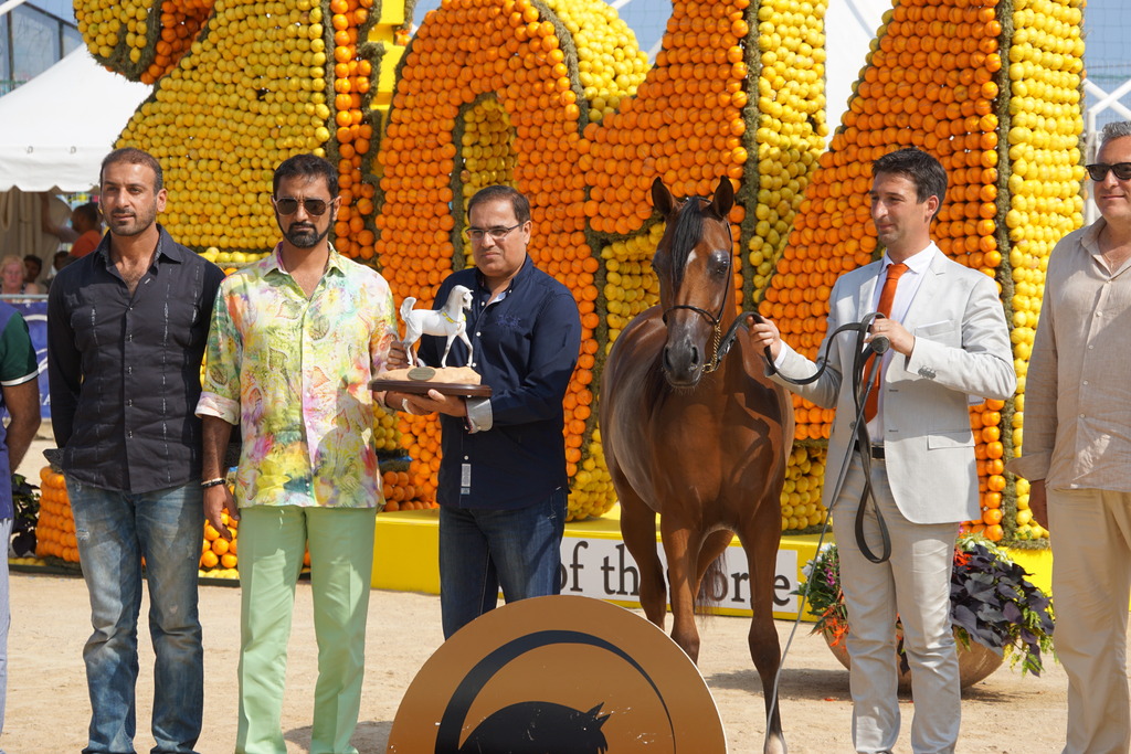 Menton Arabian Horse Championship 2014