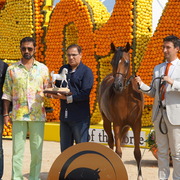 Menton Arabian Horse Championship 2014