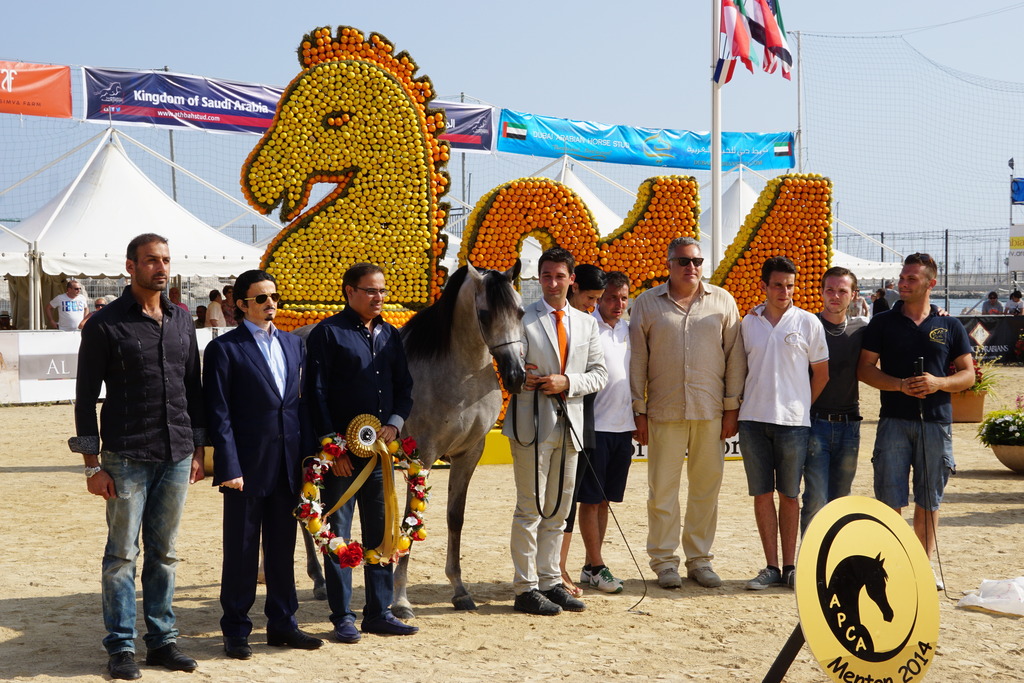 Menton Arabian Horse Championship 2014