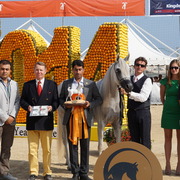 Menton Arabian Horse Championship 2014