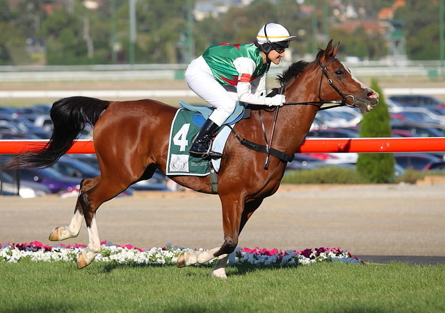 HH Sheikh Mansoor Bin Zayed al Nahyan Global Arabian Flat Racing Festival