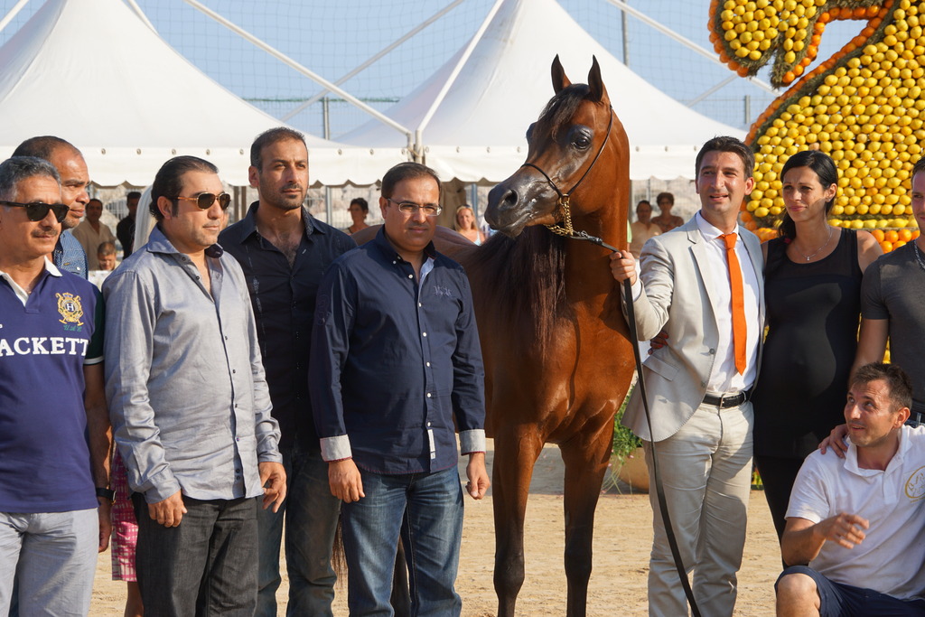 Menton Arabian Horse Championship 2014