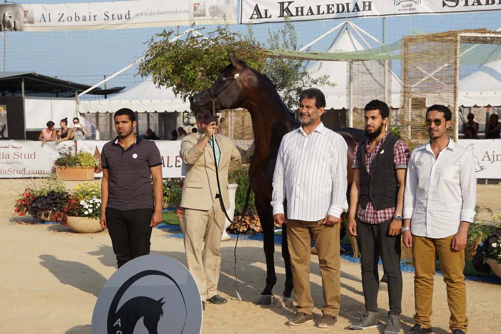 Menton Arabian Horse Championship 2014