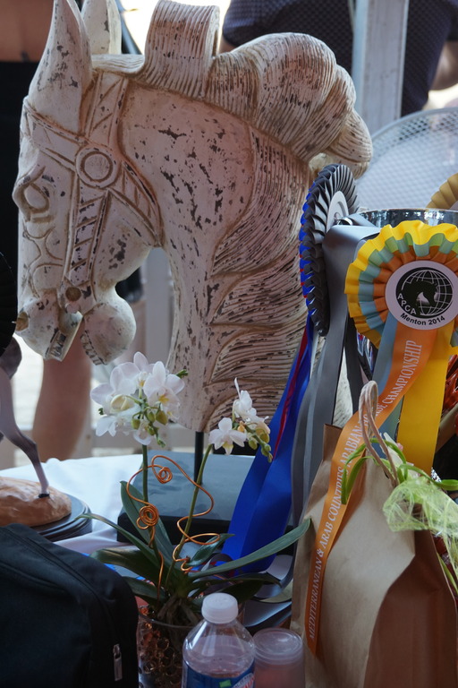 Menton Arabian Horse Championship 2014