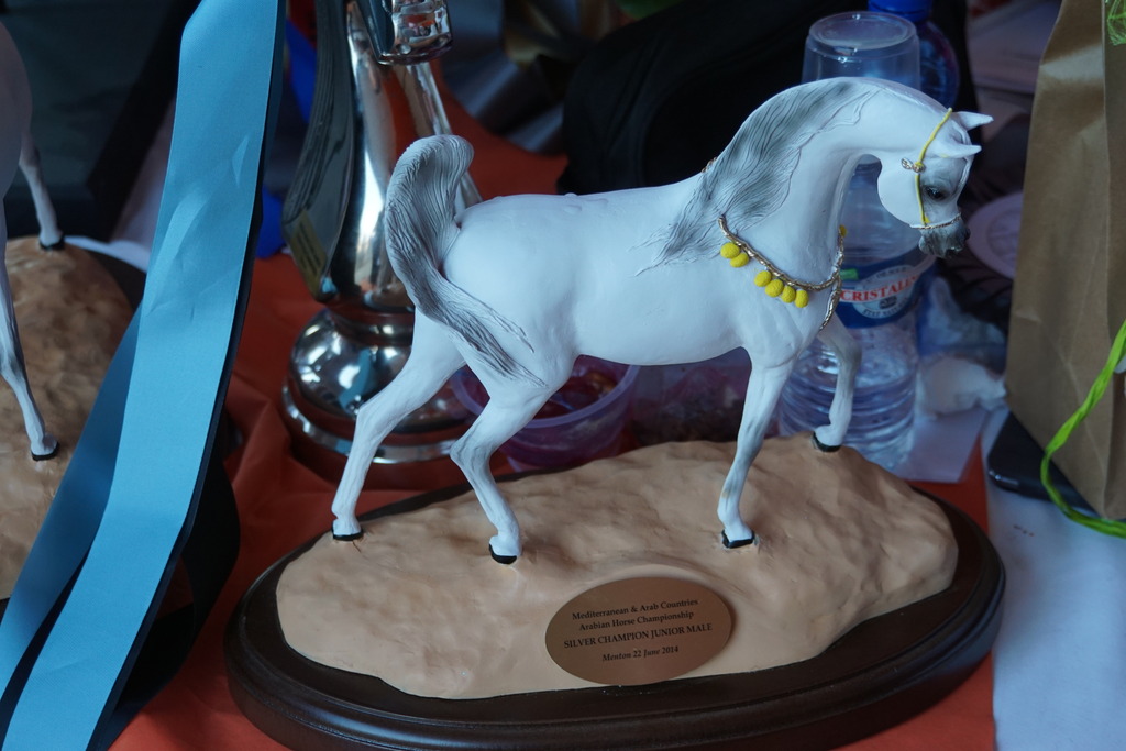 Menton Arabian Horse Championship 2014