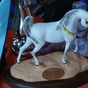 Menton Arabian Horse Championship 2014