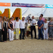 Menton Arabian Horse Championship 2014