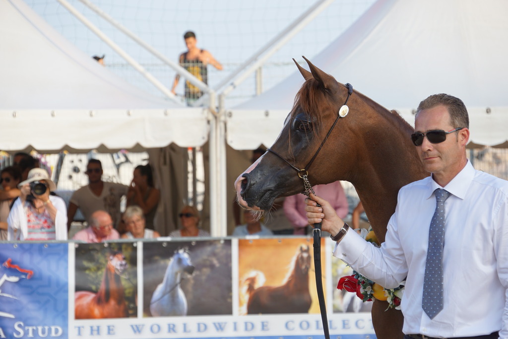 Menton Arabian Horse Championship 2014