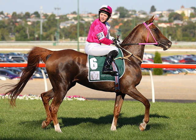 HH Sheikh Mansoor Bin Zayed al Nahyan Global Arabian Flat Racing Festival