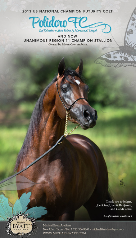 Unanimous Region 11 Champion - Polidoro FC!