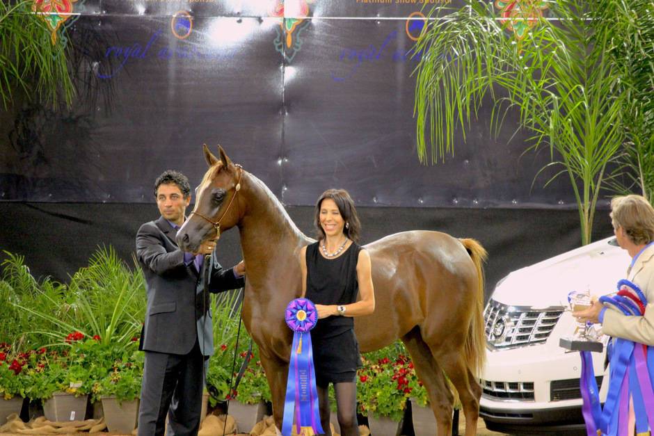 Arabian National Breeder Finals