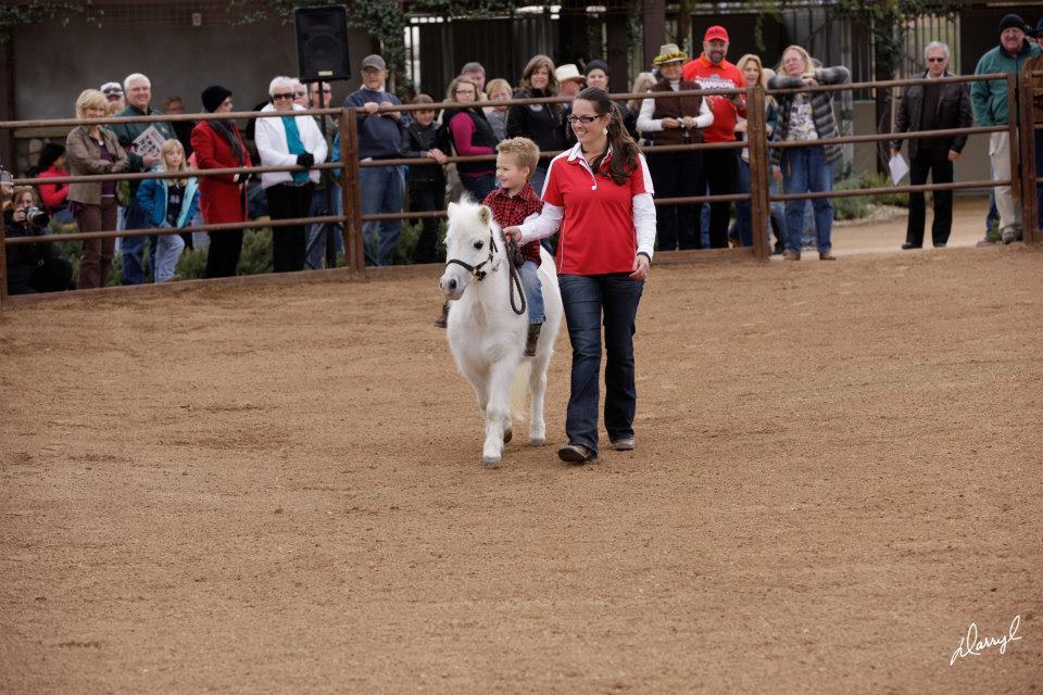 2014-2015 Arabhorse Farm Tours