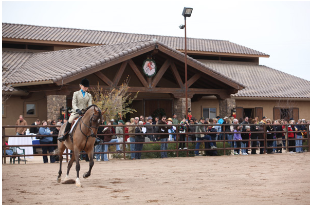 2014-2015 Arabhorse Farm Tours