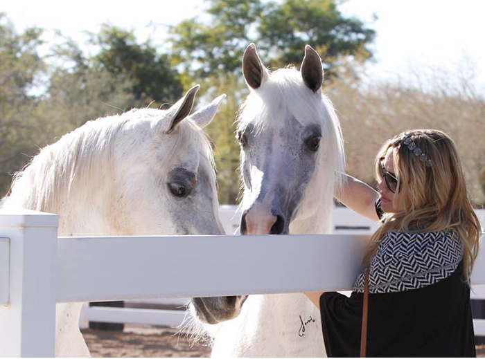 2014-2015 Arabhorse Farm Tours