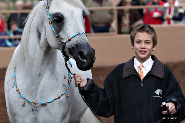 2014-2015 Arabhorse Farm Tours