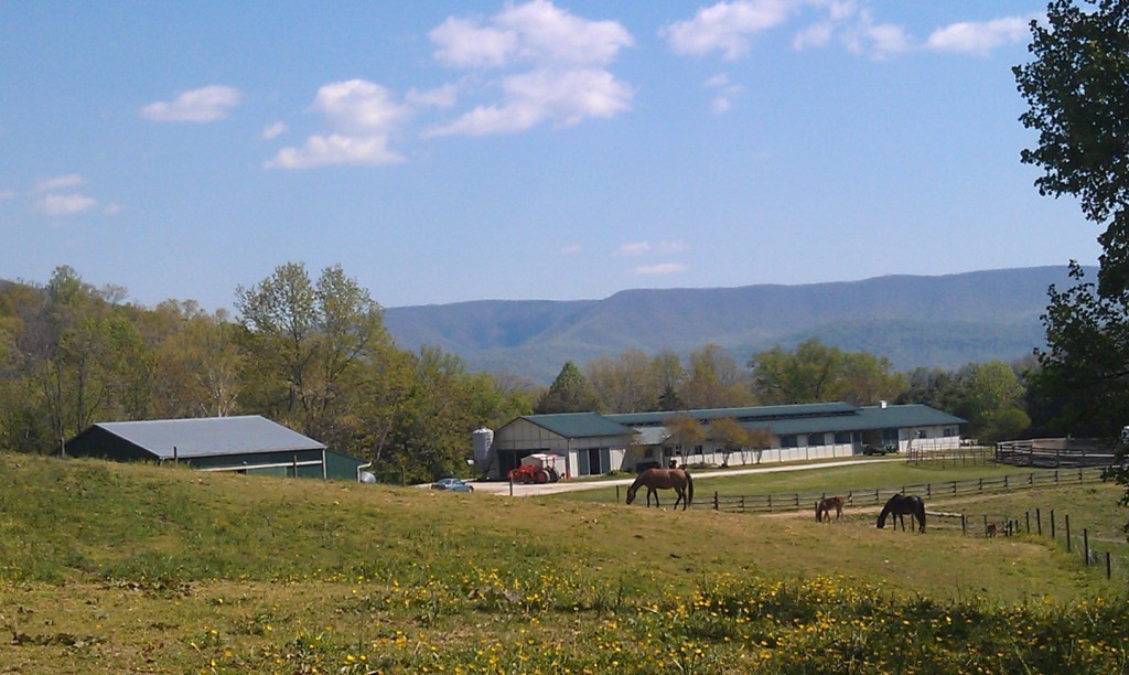 Amethyst Acres Equine Center