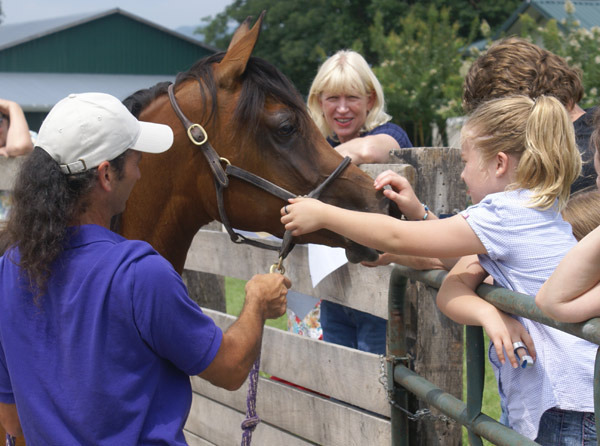 Amethyst Acres Equine Center