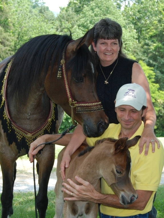 Amethyst Acres Equine Center